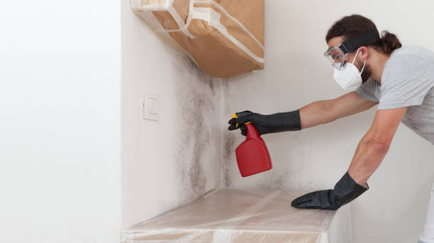 Professional Mold Removal technician working in Hudson, TX