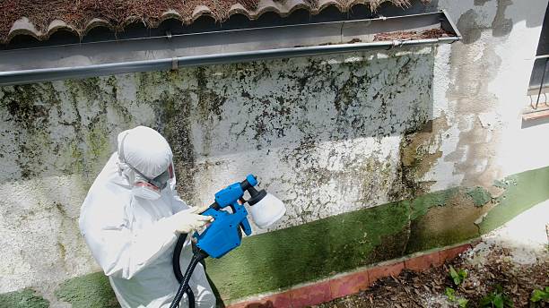 Trusted Crawl Space Mold Removal service in Hudson, TX - Cheap Mold Removal